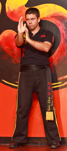 sifu och wing chun kung fu pure wing chun sifu och wing chun kung fu pure wing chun