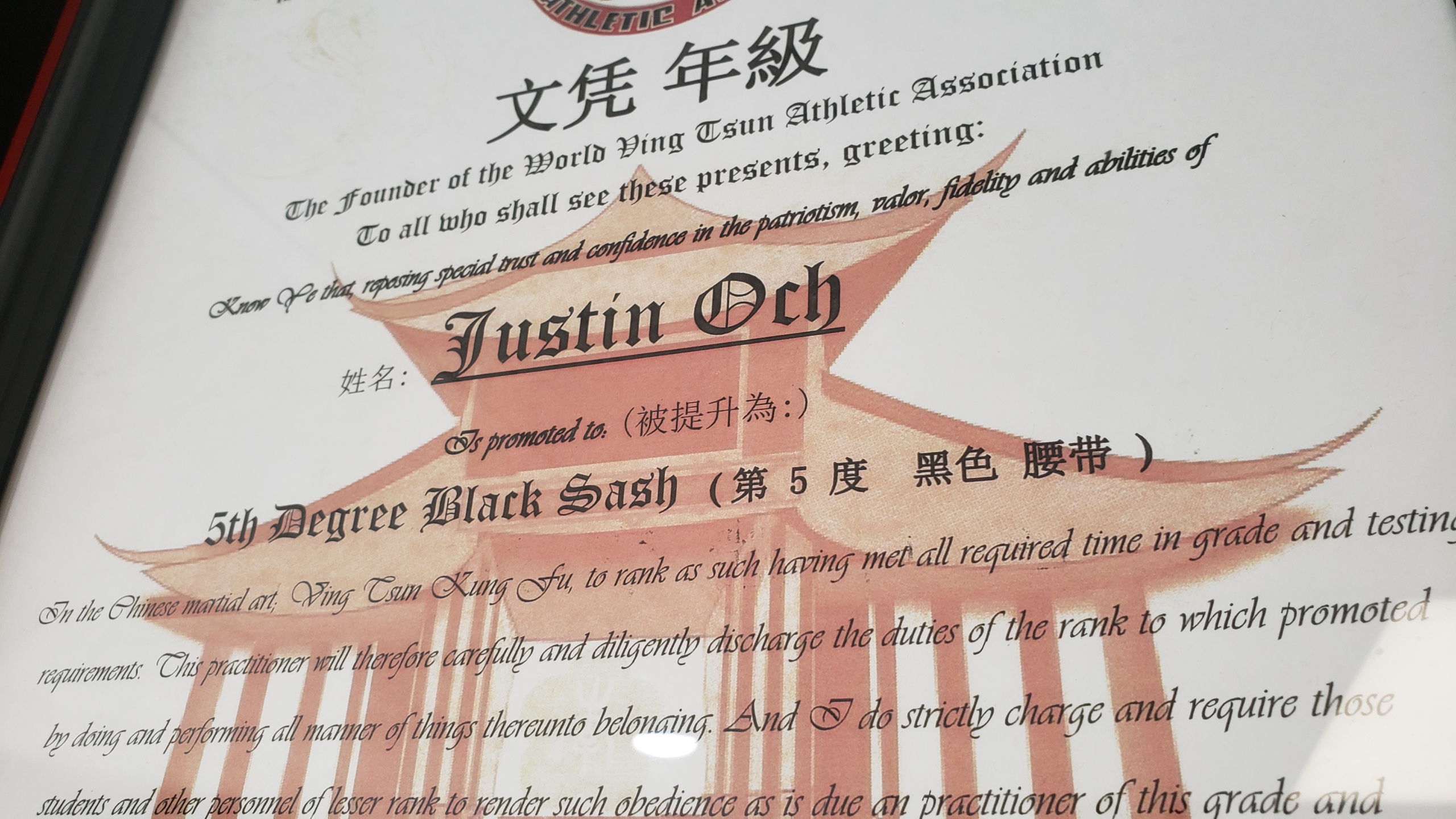 WVTA, world ving tsun association, wing chun association, ving tsun kung fu