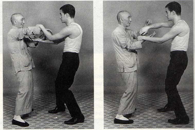bruce lee yip man bruce lee ip man bruce lee yip man bruce lee ip man