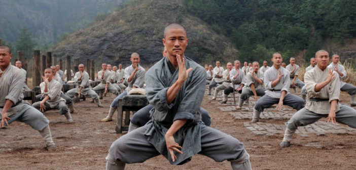 chinese martial art, kung fu, lakeland, florida, fl, gung fu, southern kung fu, southern chinese gung fu, lakeland, fl