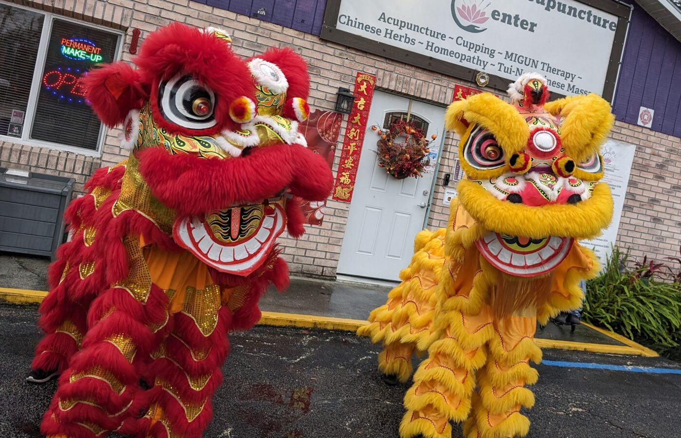 Chinese New Year, Florida Chinese New Year, Florida New Year, Fl chinese new year, chinese lion dance