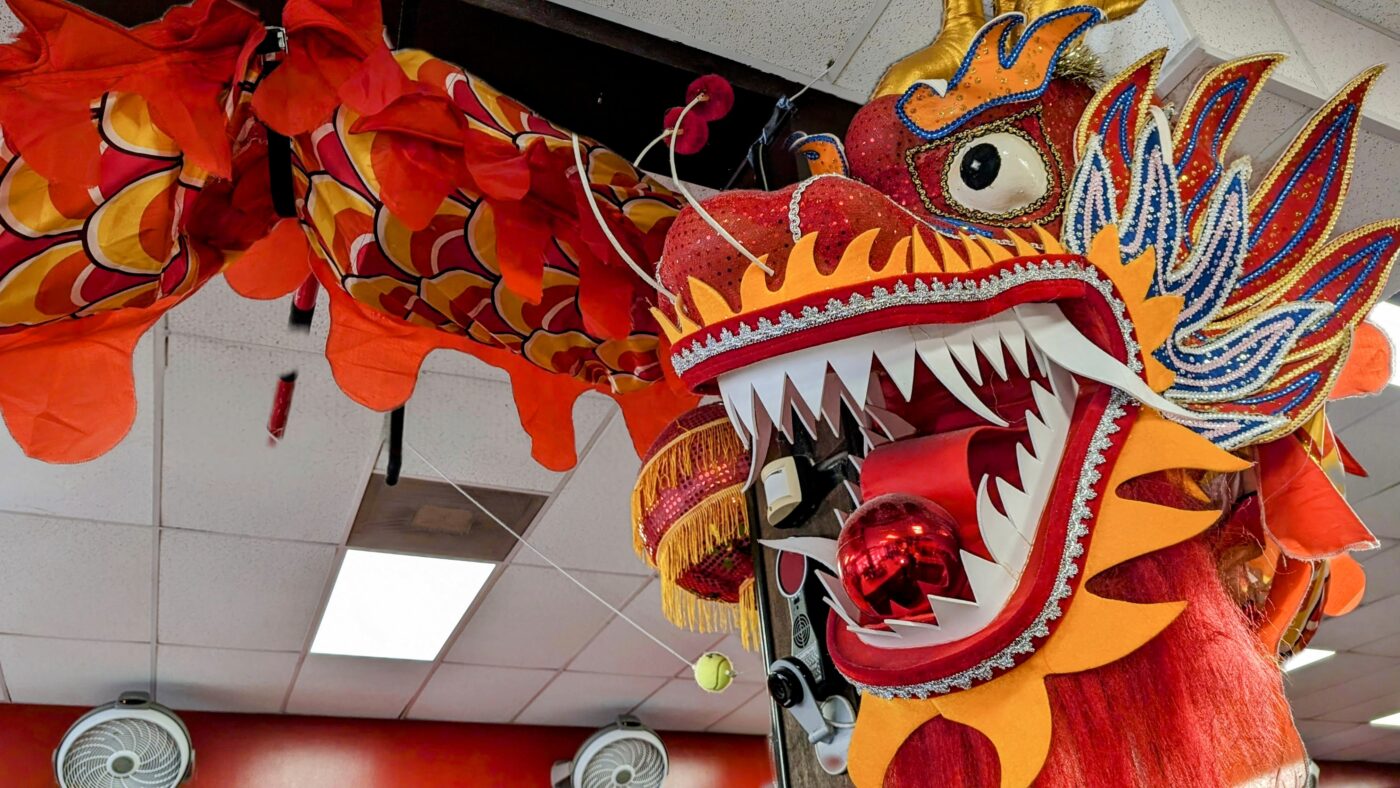 Dragon Dance, Florida Dragon Dance, Dragon Dance Florida, Dragon Entertainment, Chinese Dragon, Dragon Chinese, Chinese New Year, New Year, Chinese Lion