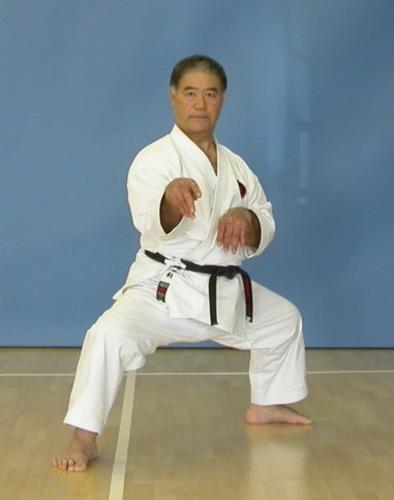 White Crane, Crane Style Karate, Grandmaster Kata, Karate Grandmaster, Horse Stance