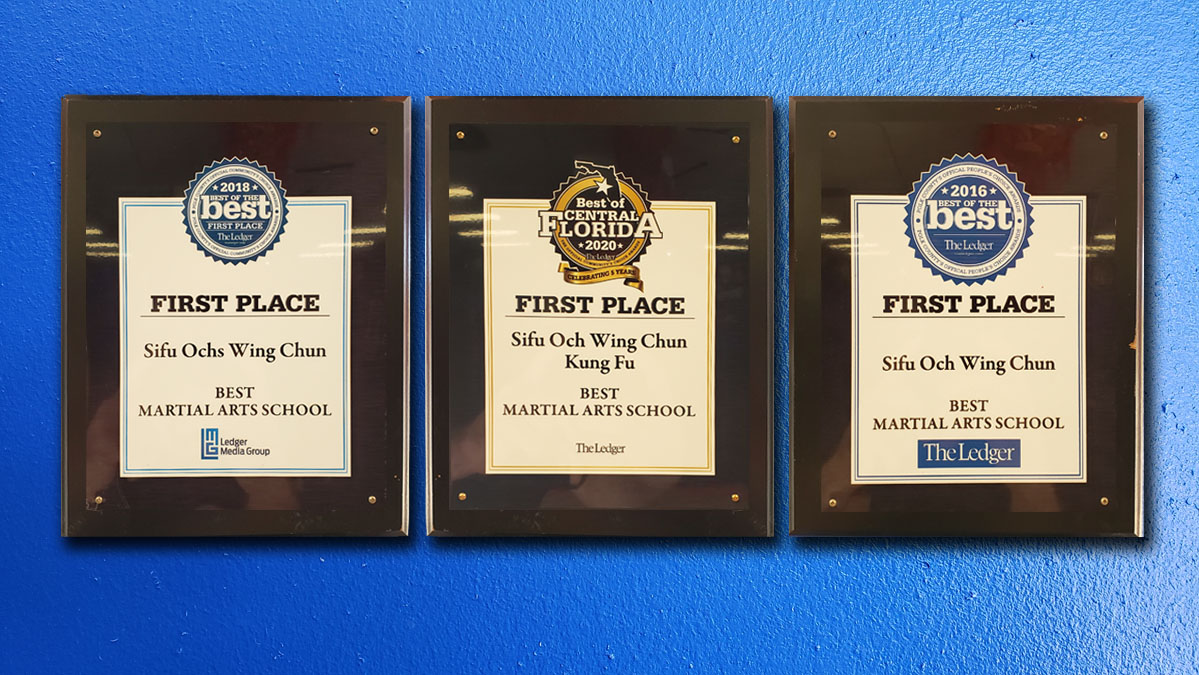 best martial arts school, best wing chun school, best of the best, ledger, best martial arts school lakeland, martial arts lakeland,