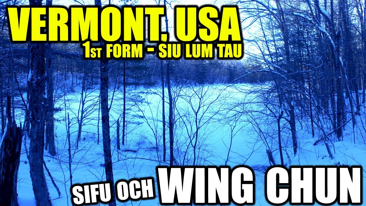 1st Form | Wing Chun | Vermont, USA