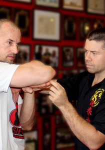 private lesson, wing chun private lesson, private lesson wing chun,