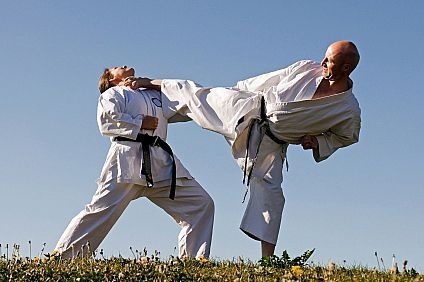 roundhouse kick round house kick high power attacks