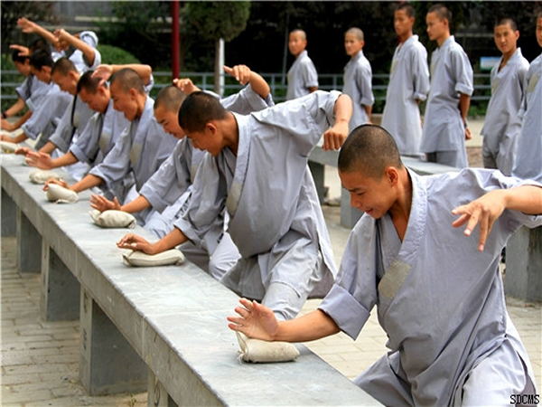 shaolin kung fu, shaolin kung fu lakeland, shaolin kung fu lakeland fl, lakeland fl, lakeland, florida, kung fu, chinese martial arts, lakeland chinese martial arts, chinese martial arts lakeland