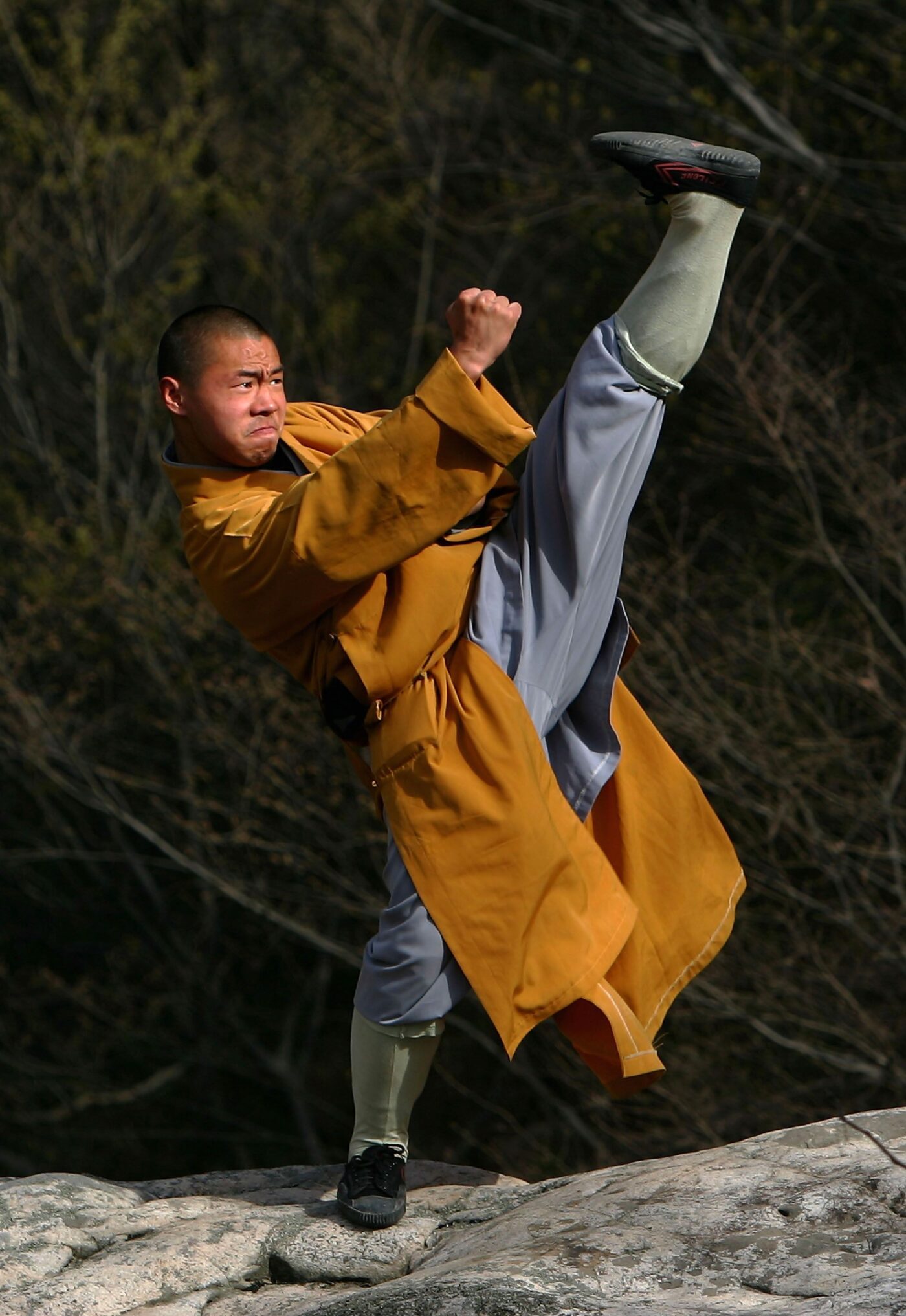 Chinese martial arts, kung fu, shaolin monks, lakeland, florida, lakeland kung fu, kung fu lakeland, lakeland martial arts, martial arts lakeland
