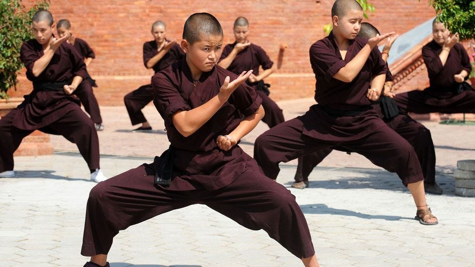 southern chinese martial arts, chinese martial arts, kung fu lakeland, lakeland kung fu, florida, polk county, martial arts lakeland, polk county kung fu, kung fu polk county