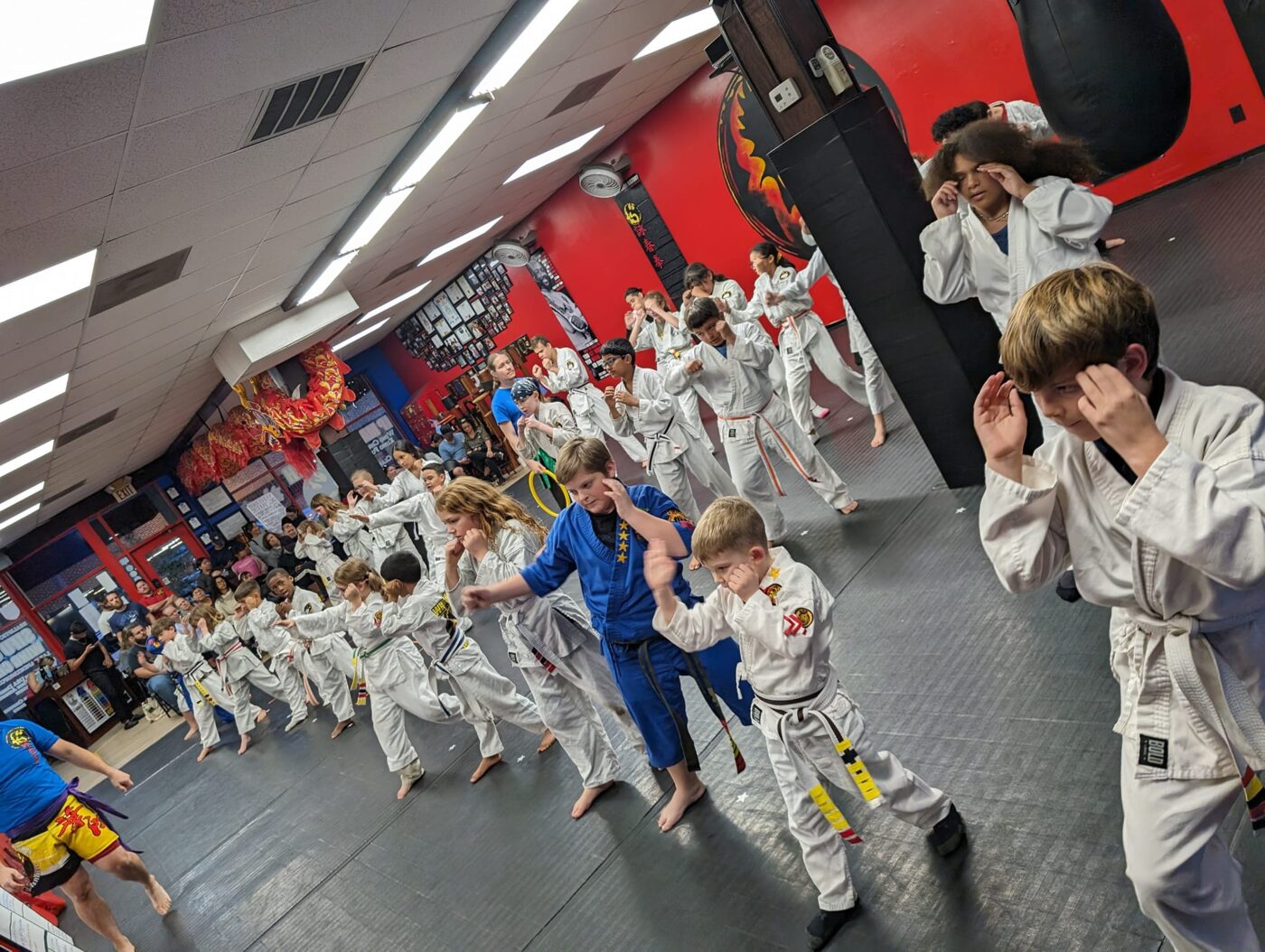 Summer Camps Lakeland, Lakeland Summer Camps, SUmmer camp programs, lakeland, Florida, kids martial arts classes, kids classes,