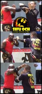 Tampa Bay Asia Fest Sifu Och Wing Chun Kung Fu entertainment