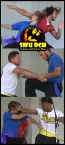 Tampa bay asia fest sifu och wing chun students entertainment