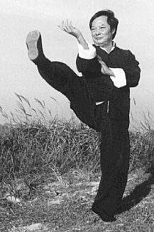 wong-shun-leung-fighter-wing-chun wong-shun-leung-fighter-wing-chun